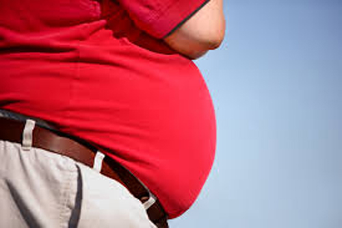 Obesità: scoperta proteina "chiave" nell'intestino